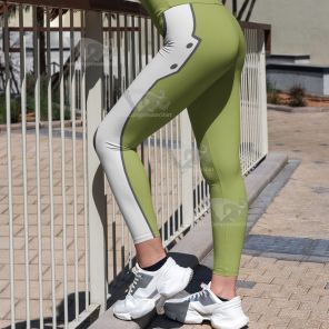 Asada Shino Sword Art Online Green Women Compression Legging